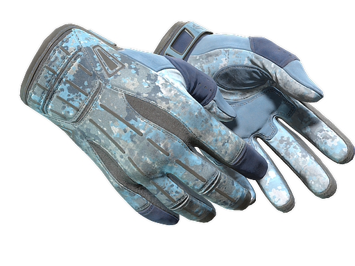 ★ Sport Gloves | Frosty (Well-Worn)
